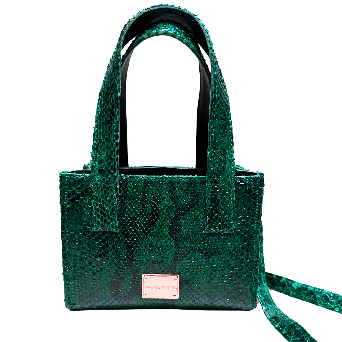 EDE Micro Tote in Green Pythonskin